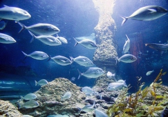 廣州到蓬萊物流專線_廣州到蓬萊貨運直達