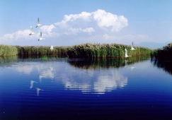 廣州到巴彥淖爾物流專線，廣州到巴彥淖爾運(yùn)輸公司