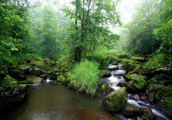 廣州到伊春物流專線，廣州至伊春貨運(yùn)公司