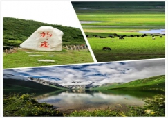 廣州到阿壩物流專(zhuān)線，專(zhuān)業(yè)運(yùn)輸廣州至阿壩貨運(yùn)公司