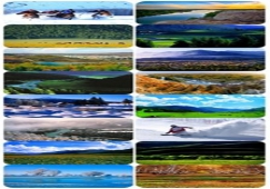 廣州到阿勒泰物流專線，廣州到新疆阿勒泰貨運價格