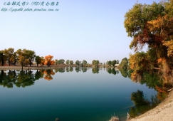 廣州到阿克蘇物流專線，廣州到新疆阿克蘇貨運公司