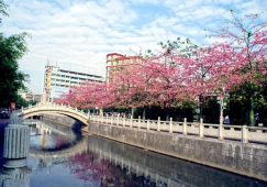 廣州到遂溪物流專線，廣州到遂溪貨運(yùn)公司