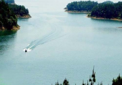 廣州到孝感物流專線，廣州到孝感貨運公司