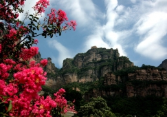 廣州到安陽物流專線，廣州到安陽貨運(yùn)公司