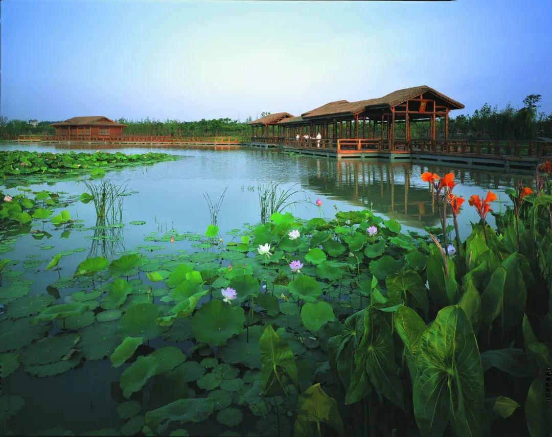 1-200G3211600317.jpeg 1-200G3211600317.jpeg